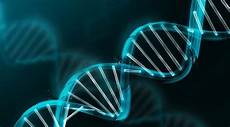 Scientific And Lab Articles