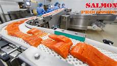 Seafood Processing Machinery