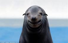 Seals