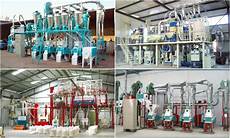 Seed Processing Machinery