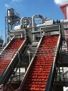 Seed Processing Machinery