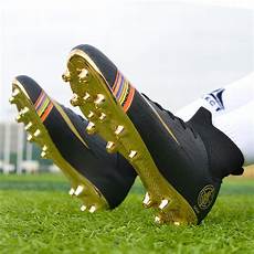 Shoe Insole