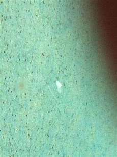 Silicate