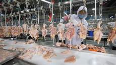 Slaughtering Equipment