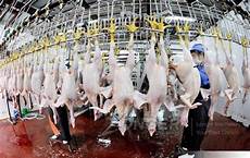 Slaughtering Equipment