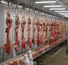 Slaughtering Equipment
