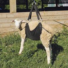 Slings