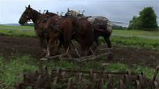 Small Farm