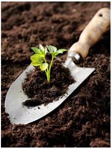 Soil Amendments