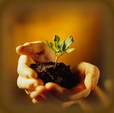 Soil Amendments