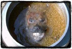 Soup & Stock Pots