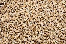 Soybean Meal