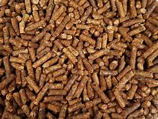 Soybean Meal
