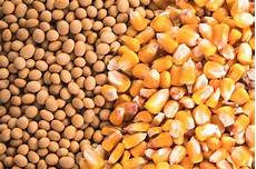 Soybeans