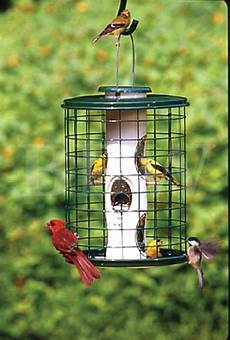 Specialty Heaters