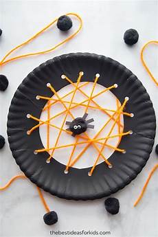 Spiders