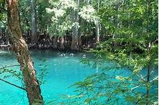 Springs