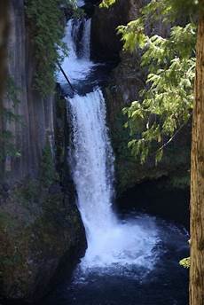 Springs