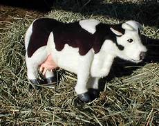 Stuffed-Cows