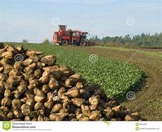 Sugar Beet Harvester