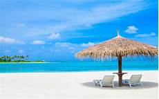 Sun Loungers