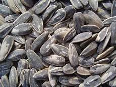 Sunflower Kernels
