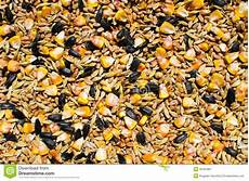 Sunflower Kernels