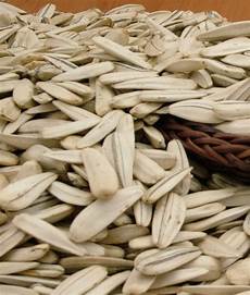 Sunflower Kernels