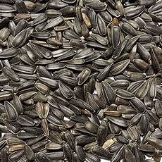 Sunflower Kernels
