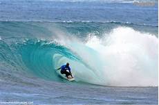 Surf Short