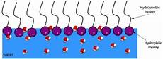 Surfactants