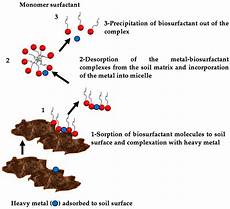 Surfactants