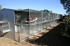 Suspended Bird Cage