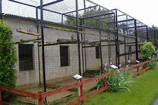 Suspended Bird Cage