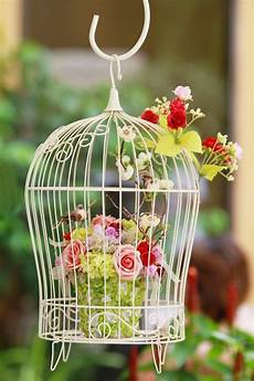 Suspended Bird Cage