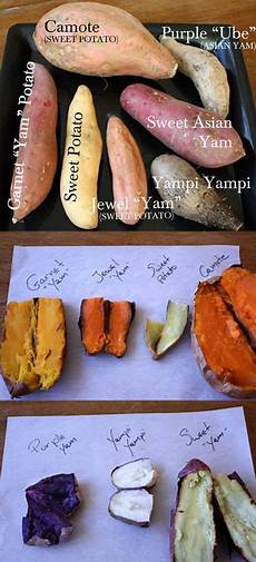 Sweet Potatoe