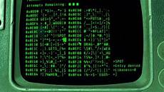Terminals