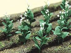Tobacco