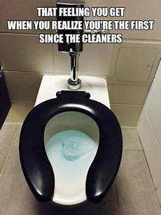Toilet Cleaning
