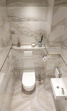 Toilet Cleaning