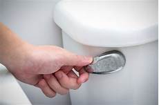 Toilet Flush