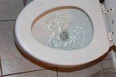Toilet Flush