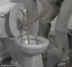 Toilet Plungers