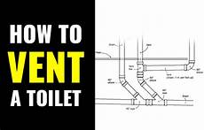 Toilet Plungers