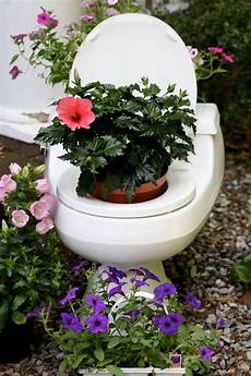 Toilet Seats