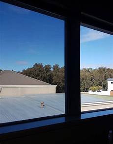 Translucent Film