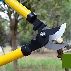 Tree Shear
