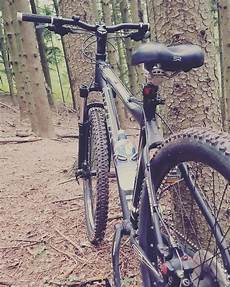Trek Road Bikes