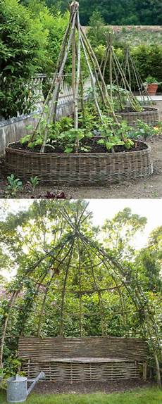 Trellis