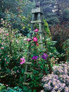 Trellis